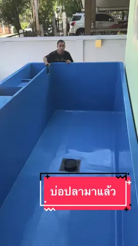 มาแล้วจ้าาา… บ่อปลาที่พวกเรารอคอย 😊😊#น้องปาย🐶 #น้องปอย🐵 #2ศรีพี่น้อง #บ้านฉัน #บ้านฉันสนุกเว่อร์ #แด๊ดดี้ที่แปลว่าพ่อ #longervideos #tiktokวิดีโอยาว #บ่อปลาไฟเบอร์