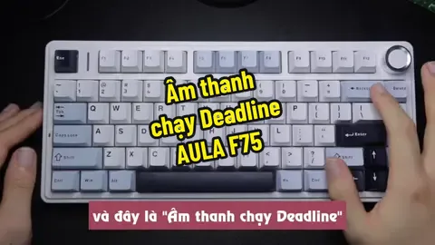 Âm thanh mà chung ta nghe suốt 8-10 tiếng mỗi ngày :))) #ASRM #keyboard #banphimco #xuhuong #dcgr #dngc #duketechshop 