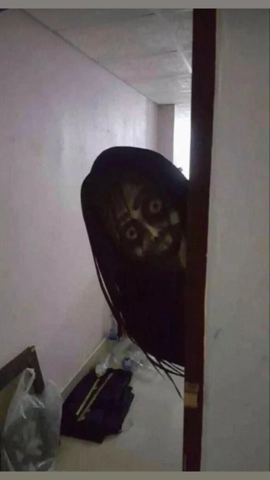 Selamat malam jumat 😳😳 #malamjumat #kliwon #malamjumatkliwon #penampakan #hantu #ghost #horor #cilukba #paranormalphenomenonindonesia #ppi #lawangsukmo #emangboleh #fyp #fuji #aliyah #fujian 