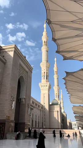 I feel in love with Madinah🤍🥹#Madinah #madinahalmunawaroh #umroh 