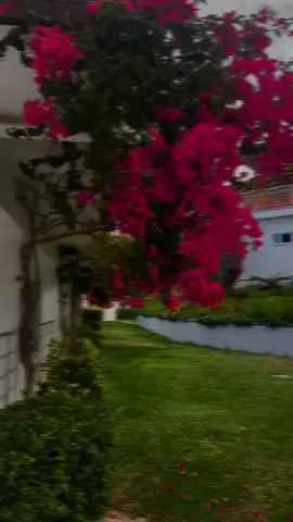 - এখন থেকে আমি ইসলামি ভিডিও ছাড়বো ইনশাল্লাহ সবাই একটু সাপোর্ট করেন !!☺️❤️‍🩹  #fvyツ❤️  #fvypシviral  #offfcial_tiktok❣️  #i_am_bd_editor  #tiktok_tamim_7x  #tamim_7x 