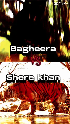 Shere khan vs bagheera