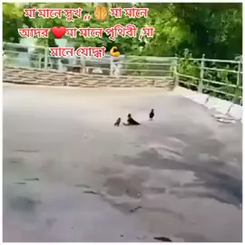 মা মানে সুখ,🤲 মা মানে আদর❤মা মানে পৃথিবী, মা মানে যোদ্ধা 💪ভালোবাসি পৃথিবীর সকল মা-কে ❤❤  #মাকে_অনেক_ভালোবাসি❤❤ #কপি_লিংক_করো_প্লিজ_প্লিজ #fouryou @মোঃ হাচান কুমিল্লার শান্ত ছেলে 