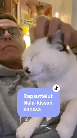 Rela ilta Nalan kanssa. Tuli tarpeeseen. Ollut vähän haipakkaa.  #presidentinvaalit #presidentinvaalit2024 #Alex2024 #fypシ #foryoupage #fyp #tiktokfinland #catsoftiktok #catlove #cattok 