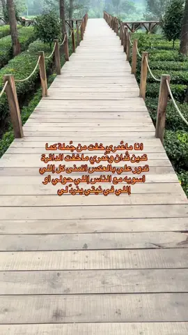 #إكسبلوررررررر_explore #foryou #موسيقى #الصيف_الاخير #viral #fypシ #capcut #إقتباسات 
