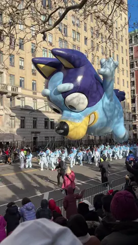 Ready, set, GO🎈💙 Bluey at the Macy’s thanksgiving day parade #blueytok #macysparade 