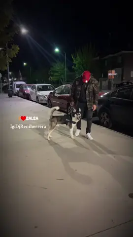 Siento una pasion por la salsa que hasta mi perro la siente 🤗😍 #salsaromantica #salserosdecorazon #salsabauldevenezuela 