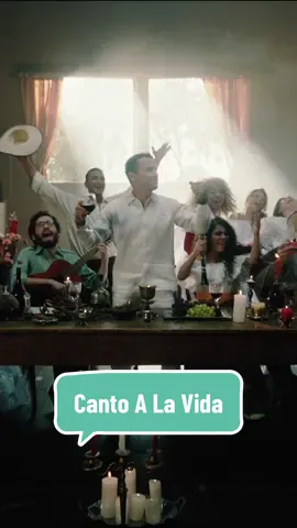 Si algo me sueño en la vida es que compartamos #CANTOALAVIDA entre amigos y familia. Salud! 🍷 #fonsecamusic #Fonseca #artistatiktok #nuevamusica #newmusic #MusicosEnTikTok #SuenaEnTikTok 