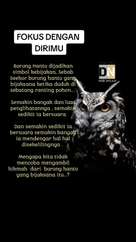 #Nurinsan #Kesadaran #Syoibulikhwan #DzikirNafas #katahikmah #Mengenaldiri #Meditasi #Tasawuf 