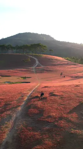 Một buổi sáng yên bình ở thảo nguyên Masara 🥰 #sangkhokhan #doicohong 