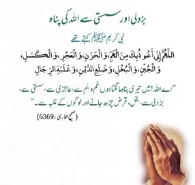 part 89 | بزدلی ، سستی، غم الم ، عاجزی، بخل، قرض کے چڑھ جانے سے اور لوگوں کے غلبہ سے اللّٰہ تعالیٰ کی پناہ طلب کرنے کی دعا🌹🤲🌹 #dua #allah #muhammadsaw #islam #hadees #muslims #islamicvideo  #deani#islamicwazifa  #wazifadua #duaprotect #islamicwazifa #hadith  #awareness #agahi #dua  #dadees #foryoupage  #foryou #foru #fypシ  #fyp #waqaraslam1532  #viralvideo #virał #fypage  #fypシ゚viral #famousdua  #onthisday #foryourpages #foryoupages #Ameen #true #view #Duian #du'a #trending #islamprogram #muslimstiktok