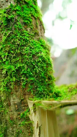 #handmade #handcraft #LearnOnTikTok #fyp #foryou #chineseculture 