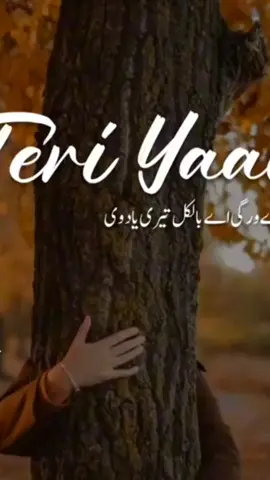tere wargi  hy bilkul  teri  yad  v#trending #🙏🙏🙏🏼🙏🏼🙏🏼🙏🏼🙏🏼🙏🙏 #viralvideo #foryoupa 