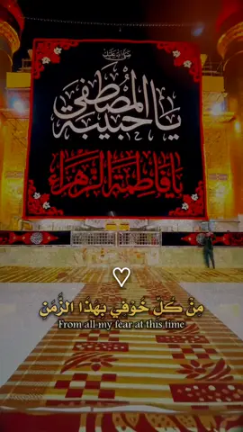 شهادة سيدة نساء العالمين فاطمة الزهراء عليها السلام سنة 11 هجرية بالرواية الثانية The testimony of the Lady of the Women of the Worlds, Fatima Al-Zahra, peace be upon her, in the year 11 Hijra, according to the second narration   السلام عليكِ #يافاطة_الزهراء #يا_زهراء 🥀🕊️🕊️ #tiktok @ســفــيـنــة الــنــجــاہ @ســفــيـنــة الــنــجــاہ 