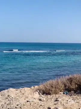 مين دا اللي نسيت⚡️💔#زليتن_ليبيا_زليتن_وأحلى_زليتن #اولادالشيخ🇱🇾🤙 #عبدالمهيمن_الحريك #ليبيا_طرابلس #كليه_العلوم_الصحيه_زليتن 