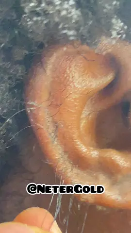 Hair grows from my ears because our hair growth products work so well.  Product Recommendation: DESTINY’S REGROWTH HAIR GROWTH BUTTER & DESTINY’S FOUNDATION HAIR GROWTH OIL Shop now at www.NTRGLD.com and use code BFCM30 to save 30%.