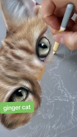 Il parait que les chats roux ont caractère a part...Vrai ou faux d'après vous ? 🤔 www.skyzune-art.com  #skyzune  #artisteanimalier #animalart #pastel #cat #chat 動物アーティスト