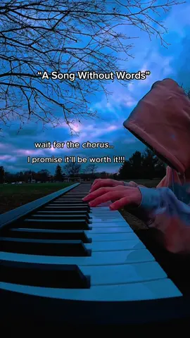 wait for the chorus..❤️ #piano #music #neoclassical #romantic #song #cover #emotional #composition #classicalmusic #artist #inspiration #naturephotography #nature #chorus #sunset #beautiful #Outdoors #friday #weekend #thanksgiving 