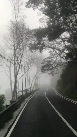 Kabut memang setenang itu #vibes #sadsong 