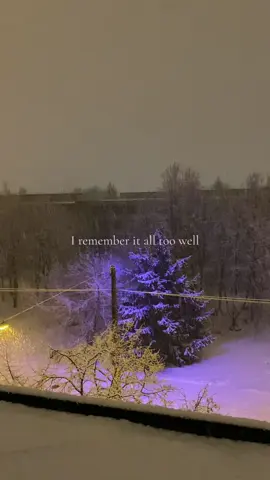 It was rare, I was there, I remember it all too well🧣 #taylorsversion #firstfallofsnow #fyp 