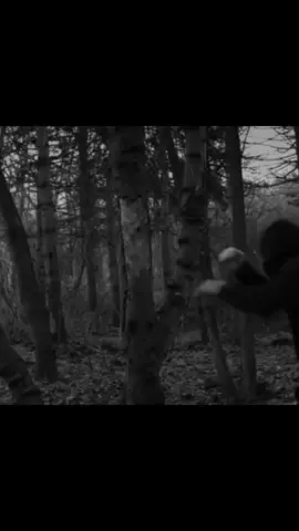 #boxing #karatel #motivation #рекомендации #ебаш #💪 #👊 #eminem #musuc 