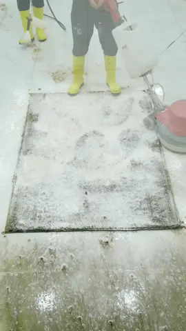 Satisfying carpet cleaning #asmr #rugwashing #satisfying #carpetcleaning #shorts #carpet 