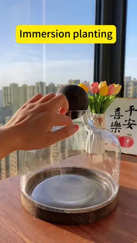 Immersion planting#foryou #aquariums #fishtoks #fishtanks #DIY 