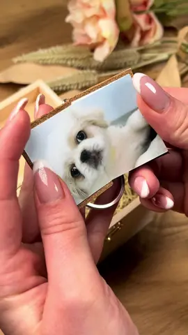 Stay strong 🐾🥺❤️‍🩹 #dogsoftiktok #petloss #petgrief #dogloss #dogs #catsoftiktok #catlover #doglover 