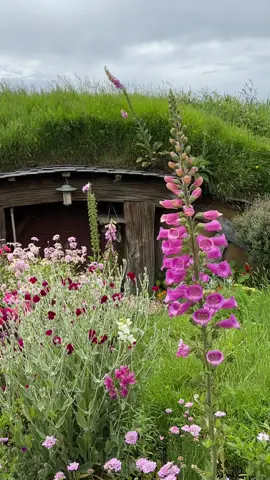 wait i never want to leave hobbiton🪻 #newzealand #lordoftherings 