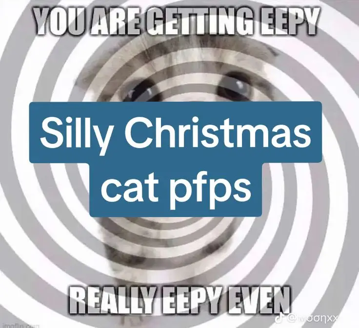 Super duper silly cats!!! #cat #christmas #sillycat #pfps #awww #cuties #sosilly #huh #meow #kittay #broew #mroew #kitten #sillykat #woah