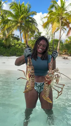 Giant lobsters in Bahamas!!! I can’t believe I caught so many of them 🙂 Thanks to JJ @Captain Nixon for this beautiful experience.  #lobster #fypシ #fyp #viralvideo 