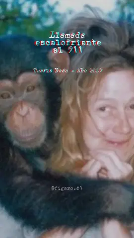 Comparte para más #parati #foryou #horror #terror #ezquizofrenia #viral #reaccion #llamadasperturbadoras #llamadas911 #longervideos #mexico🇲🇽 #quito_ecuador🇪🇨 