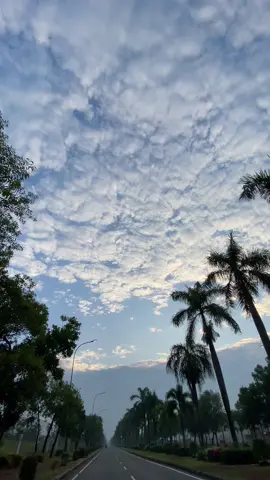 Suasan minggu pagi di kawasan KIIC karawang 26 november 🌤️🌼🍀#kulipabrikkarawang #kulipabrikhitz #karawangtiktok #fypシ #fyp #karawanghitz #karawangviral #kulipabrikcikarang #foryou 