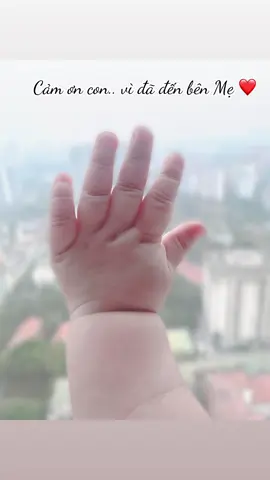 Thấy các mom truyền tai nhau để ảnh bàn tay em bé dành cho các m mong con.. mẹ cũng đã từng mong chờ được ngắm nhìn bàn tay của con và giờ có tấm ảnh sở hữu của riêng mình rồi 🥰Cảm ơn con vì đã sinh ra đời ❤️#cute #xuhuong #ffws2023 #embe #meovang2023 #tiktok 