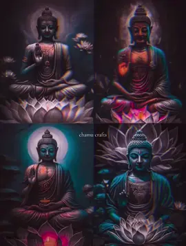 පිංබර ඉල් පොහෝ දිනයක් වේවා 🙏🍃 #il #poyaday #poyaday🌕 #budhdhist #Buddagam #poyadaystatus #ilpoya #poyaday #fypシ #fypシ゚viral #foryoupage #onemillionaudition 