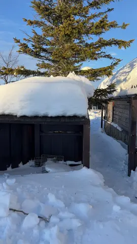 #fjellet #tænetid #fyp #hytta #viral #kristian #jenter #blondiner#foryoupage #snø #jentenefrahelvete #cedrico #afterlabel #caya 