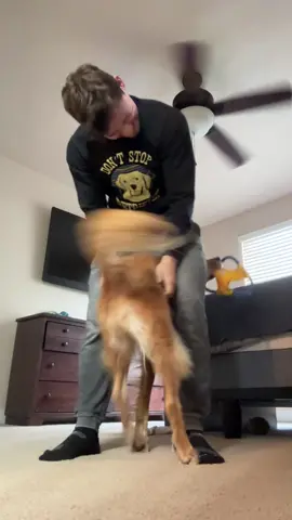 Nala was not impressed with her new hat 😒