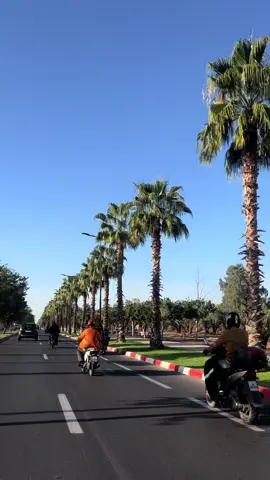 🌵🇲🇦 #maroc #marrakesh #vac #fyp 