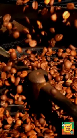Letting Coffee Beans Fall Into a Roasting Machine... 🤎♨️☕️ #CoffeeASMR #ASMR Step into the #CoffeeBuzzSounds as coffee beans gently cascade into the roaster, creating a rhythmic dance of anticipation. The ambient lighting adds a touch of warmth to this aromatic spectacle. Let the soothing sound of falling beans transport you to the essence of coffee bliss with the Coffee Buzz Club.