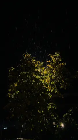 ئێوارەیەک لەگەڵ باران وەرەوە گەورەیی بنوێنە باران بۆ زەوی تۆش بۆ من:(🥹🫂🌧🫧#foryoupage❤️ #foryou #tiktok #rain #davarabarzan❤️❤️ #zhazhukvillage 