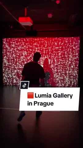 What to do in Prague? Here is another cool tip 👉🏼  Lumia Gallery. #LumiaGallery #LumiaGalleryPrague #PragueTips #PragueSpots #PragueArt #PragueFun #WhatToDoInPrague #DateInPrague #PragueCity
