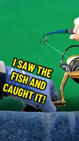 Sight casting big fish from the pier! 🔥  #baits #fishing #sightcast #pierfish #saltwater #hugefish #gganglers 