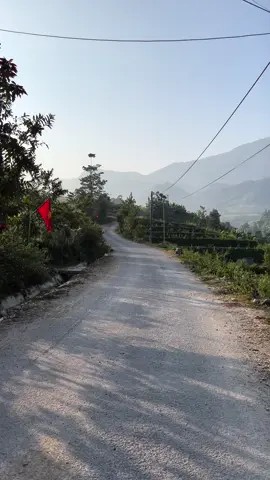 Mỗi sáng em đi làm 
