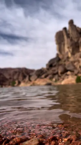 ياصباح الخير ياطلة الصبح السعيد 💐🕊️ #تصويري_تصميمي #صباح_الخير #دامن #سعد_بن_جدلان 