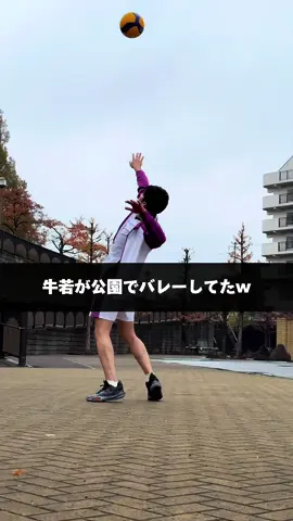 バレーボールは室内でも外でも楽しい🐮#バレーボール #ハイキュー #牛島若利 #牛若くん #volleyball #haikyuu #ushijimawakatoshi 