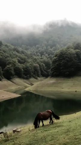 titik tertinggi mencintai adalah.....  #tanpapesanterakhir #liriklagu #seventeen  #storywa #galaubrutal #fyp #fypシ 