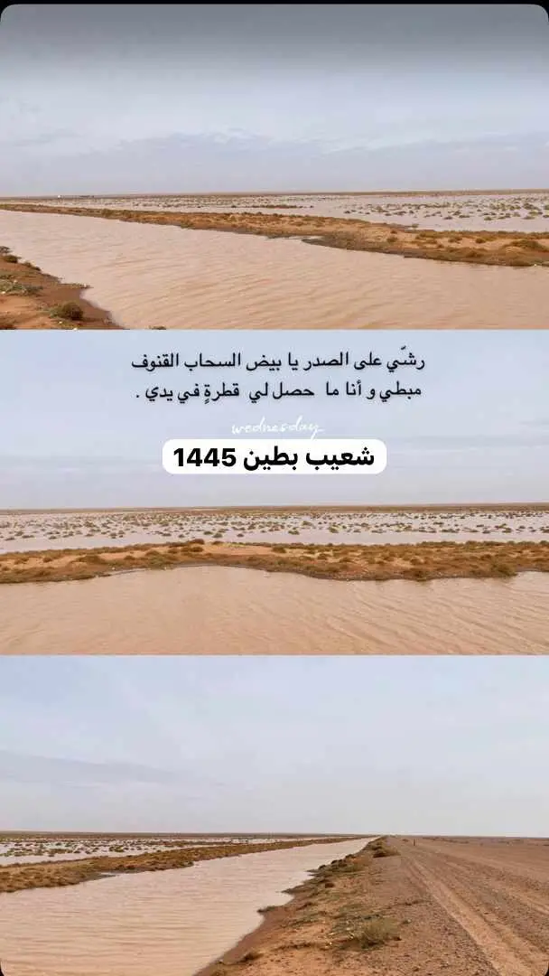 #اكسبلورexplore #اجواء_الشتاء_والمطر🌧 #طريف_الان #الشمال 