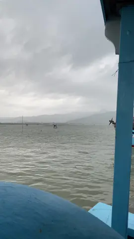 Rời bến thôi 😊#dânbiển #danbien77  #vietnamtoiyeu #toiyeuvietnam 