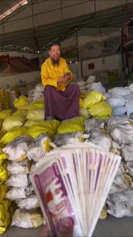 Jade stone cutting jackpot #jadeite #jade #jadestonecuttingjackpot #jadestonecutting #jadecuttingsuccessful #jadestonefound #gem #crystals 