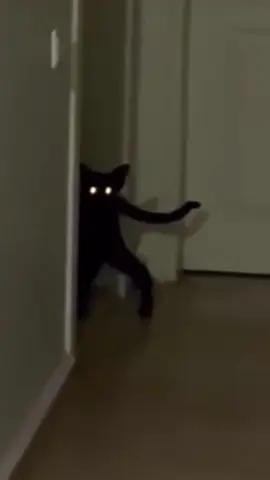 creepy black Cat . 🐈‍⬛ #blackcat #horrorcat #spookycat #creepycat  #scarycat #🐈‍⬛ #horror #halloweenparty 